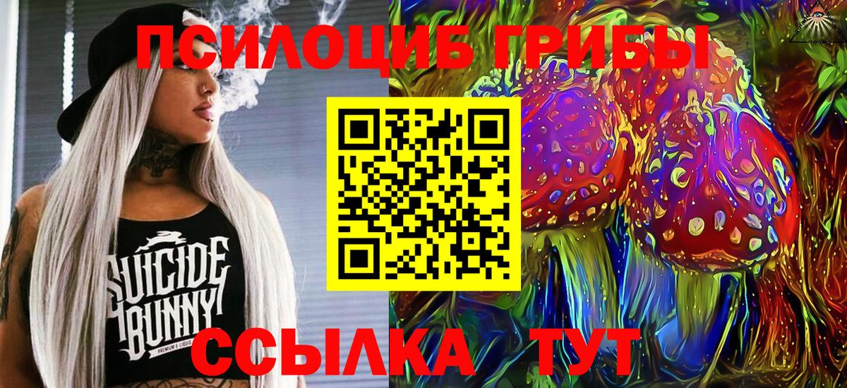 Псилоцибиновые грибы GOLDEN TEACHER  Псилоцибиновые грибы Cubensis  Вход с VPN  Заречный 